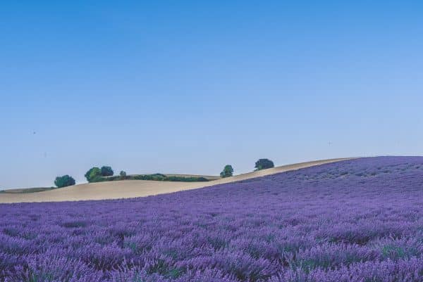 Paysage-Occitanie